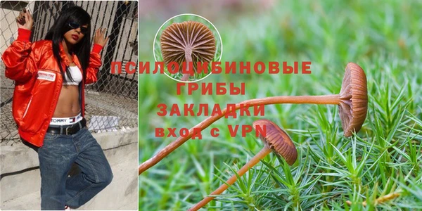 стаф Абаза