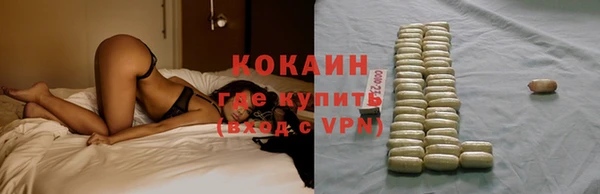 стаф Абаза