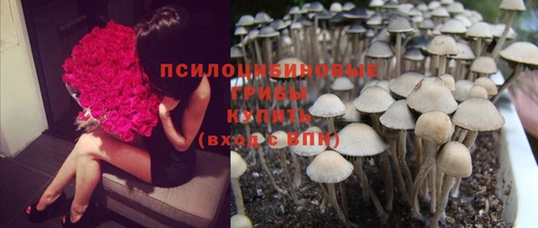 гидропоника Абдулино
