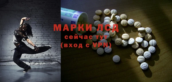 стаф Абаза