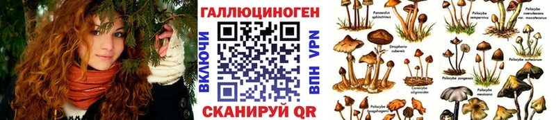 купить  сайты  Нерехта  hydra ссылки  Галлюциногенные грибы Psilocybine cubensis 